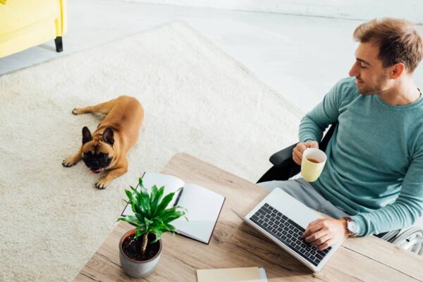 ein Mensch im Homeoffice, zuhause am Schreibtisch mit Hund